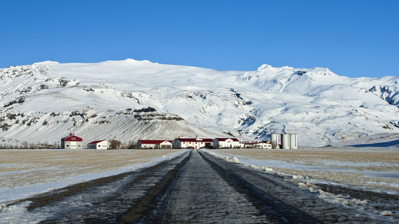 walter mitty
