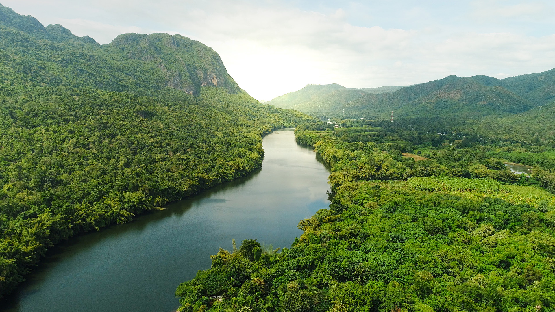 You Wont Believe These Incredible ManMade Forests Exist!