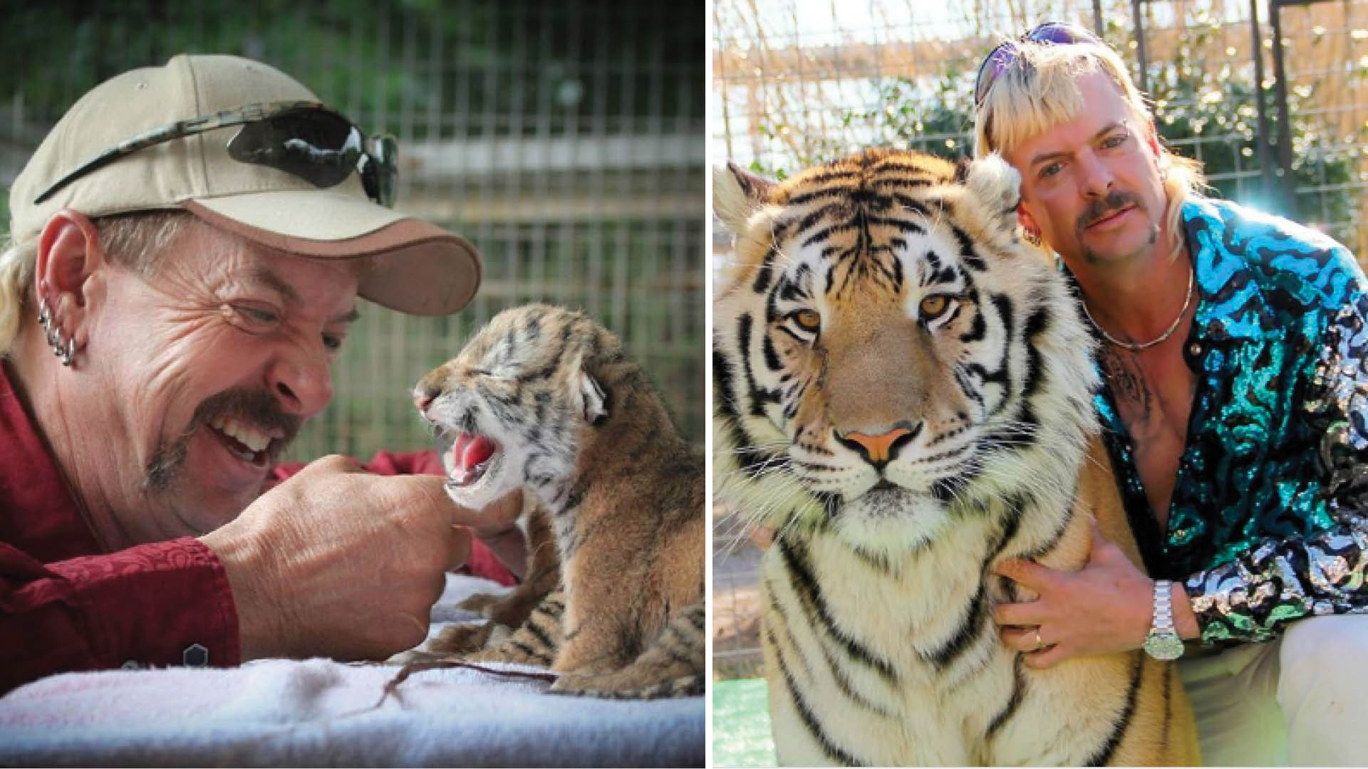 Here's Why You Have To Watch 'Tiger King' On Netflix RN!